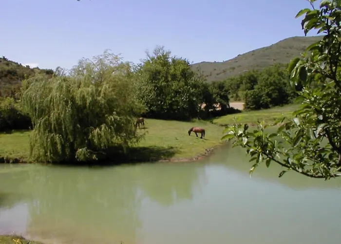 Vakantiehuis Avec Prive *